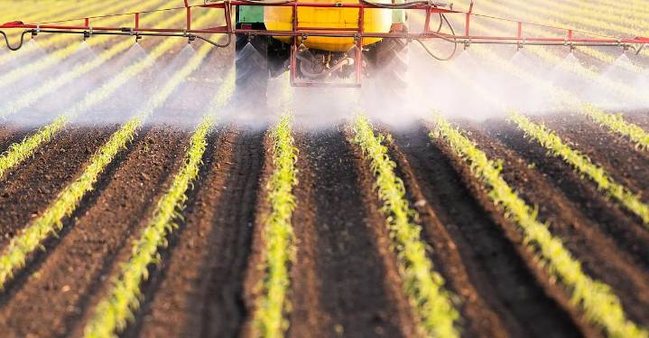 Pesticide Linked To Impaired Brain Development Among Kids