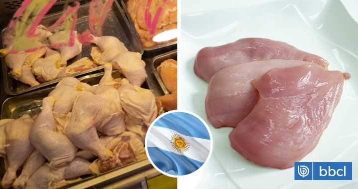 Ordenan suspender temporalmente importaciones de pollo desde Argentina por brote de influenza aviar