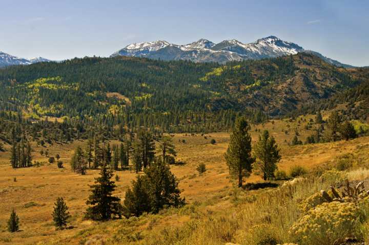 Private land used for logging is more prone to severe fire than public lands. A new study shows why