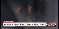 West Nile virus detected in Jackson County for the first time in 2025
