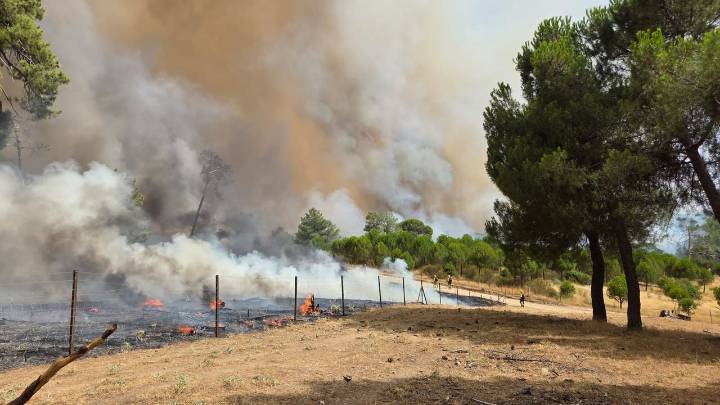 Mejora el fuego en Navarra y Zamora