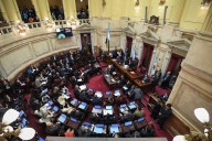 Minuto a minuto. Sesión en el Senado, en vivo: votan la emergencia pediátrica y el financiamiento de las universidades nacionales