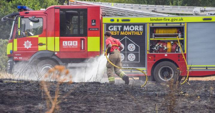 Summer wildfires in London more than triple since 2020 with 'firewaves' posing new threat