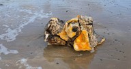 Dangerous toxic blobs wash up on UK shorelines as certain group warned to stay away