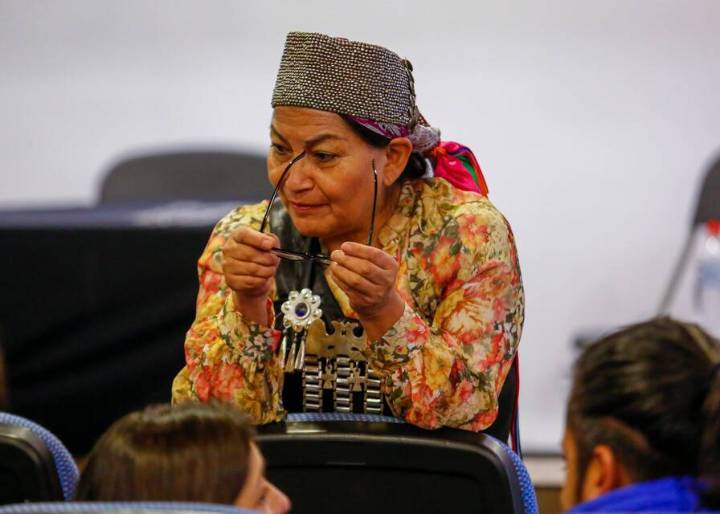 Elisa Loncon llamó al Gobierno a detener la consulta de la Comisión para la Paz
