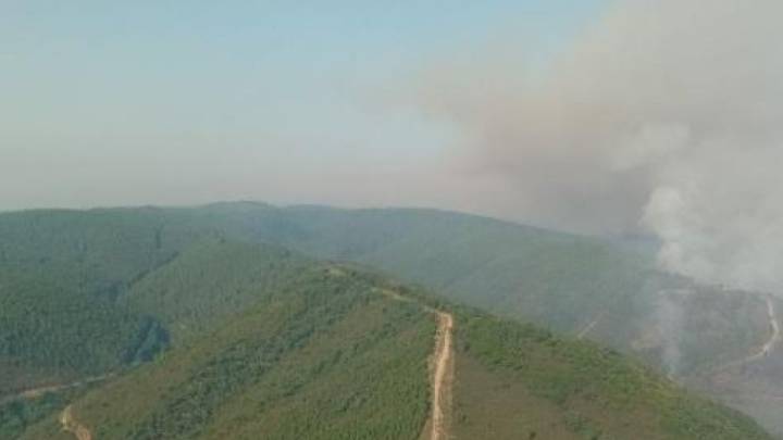 Nuevo incendio en León: nivel 1 para el fuego de Paradiña en El Bierzo