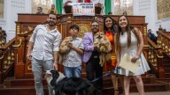 Reformas blindan educación, bienestar animal y deporte