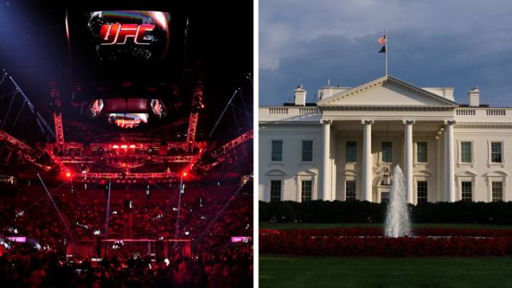 Dana White dice que la Casa Blanca "definitivamente" albergará una pelea de UFC