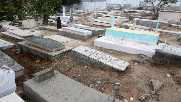 Pensó que había alquilado una ganga… hasta que descubrió quiénes eran sus “vecinos”
