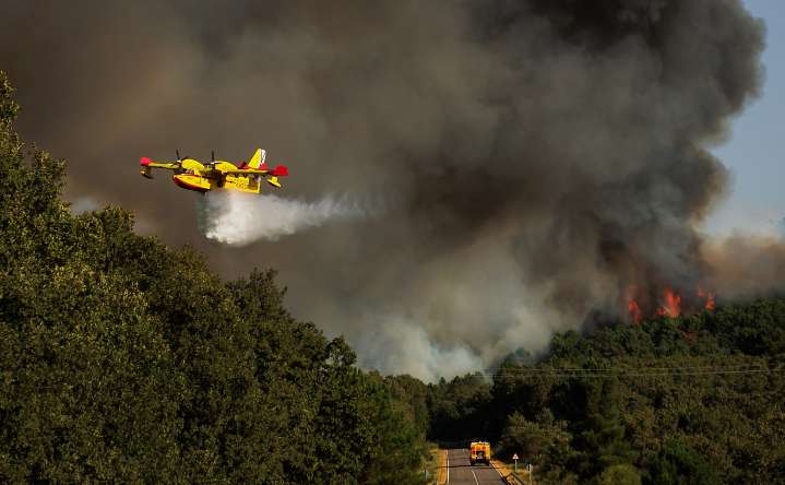 ¿Cómo evitar los incendios forestales?