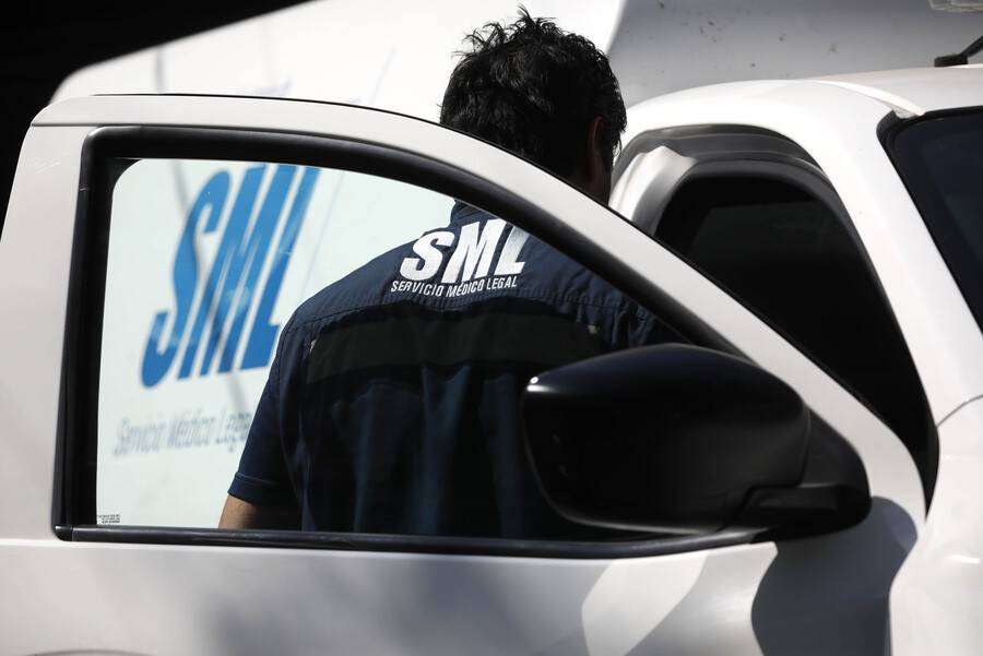 Adulta mayor y su perro mueren electrocutados cuando paseaban en Antofagasta