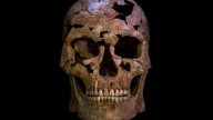 Ice age skeleton with broken neck bone provides rare glimpse into the lives of ancient hunter