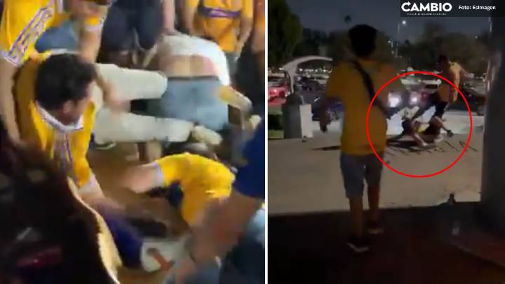 Aficionados de Tigres no pueden con la derrota ante América y se agarran a golpes (VIDEO)