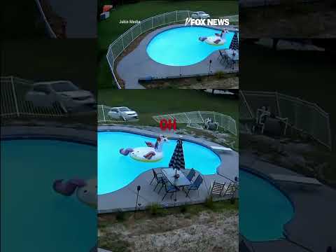 'OH MY GOD': Woman frantically chases after a car as it rolls away backward #car #shorts #pool #omg