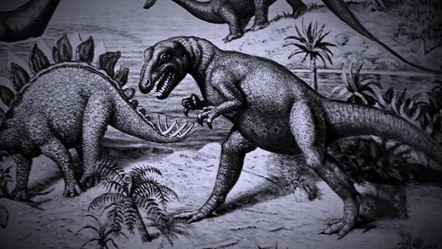 ‘Punk rocker’ dinosaur had long spikes, newly discovered fossils show