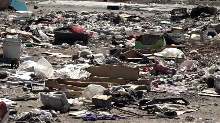 Ayuntamiento de Mexicali intensifica sanciones: 669 multas ambientales en 2025