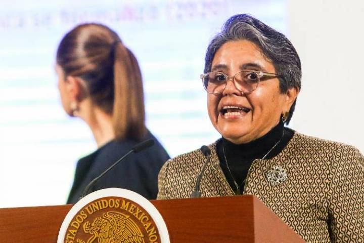 Gobierno va contra 'exorbitantes' pensiones de Luz y Fuerza y Pemex