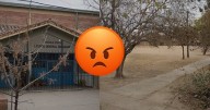 Salteño escrachó a una mujer que hizo algo asqueroso en una plaza: "Donde juegan..."