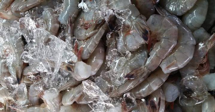 Radioactive shrimp possibly sold at Alabama Walmart locations