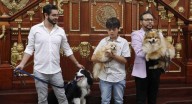 Animales ya no son bienes muebles, ahora son seres sintientes, aprueba congreso de CDMX
