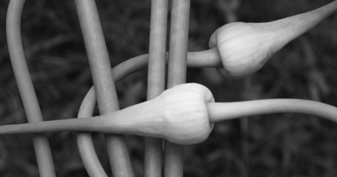 Bethlehem Artist Marc Russell Photography Show at the Woodbury Public Library in September