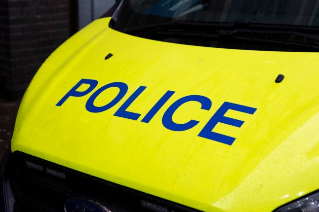 Car mounts pavement and ploughs into children playing in Belfast
