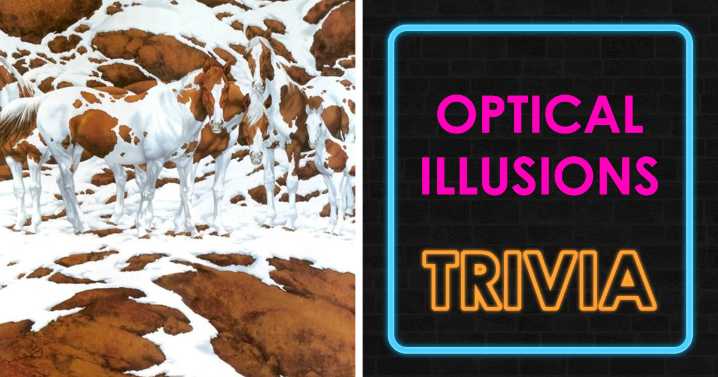 Everyone Sees The Man, Only Geniuses See The Rest: Solve 19 Viral Optical Illusions