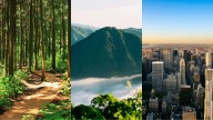 Test de personalidad: elige un paisaje y descubre cuál es tu mayor motivación