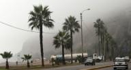 Vientos de hasta 35 km/h afectarán la costa: Indeci recomienda medidas de seguridad 