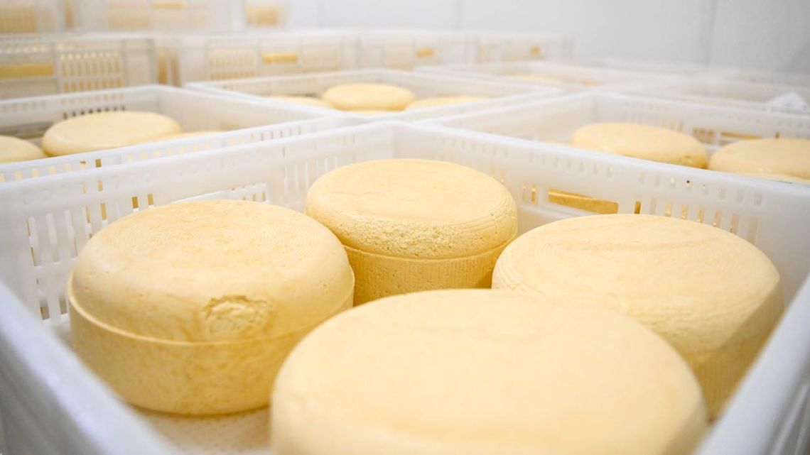 El Ministerio de Salud confirmó un brote de listeriosis por el consumo de un queso