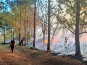 Con el fin de semana caluroso se multiplican los focos de incendio en la provincia