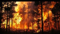 Air Quality Advisory In The U.S. As Everglades Fire Covers South Florida In Smoke