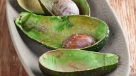 El secreto viverista para tener tu propia planta de Palta en maceta y que crezca sana y rozagante