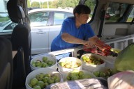 Fruit Share Brandon just keeps on pickin’