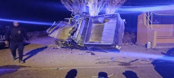 Cuatro hombres viajaban en una camioneta, el conductor perdió el control y chocaron contra un árbol