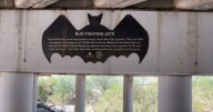 Tucson's "Bat Bridges" offer sunset spectacle