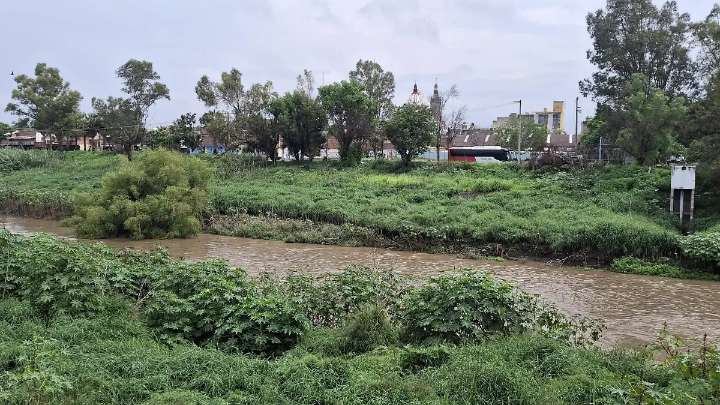Espera sector agrícola remediación del río Lerma