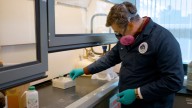 La DEA advierte de la mortalidad por drogas en menores de edad escolar