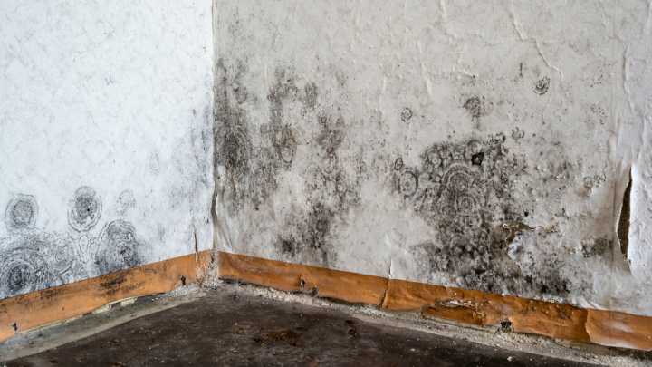 How To Get Rid Of Mold After A Basement Flood Using An Ingredient You Already Have