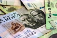 Podría subir la recaudación en 5 puntos del PIB.