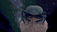 Dung Beetles Orientate Using The Milky Way, And They're Not The Only Insects Navigating By The Stars