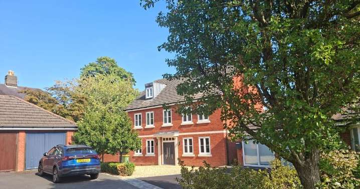 Homeowner hit with HUGE £116,000 fine for chopping down tree in back garden
