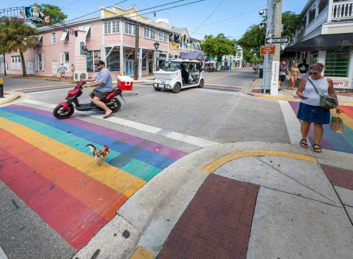Florida puts rainbow crosswalks in the crosshairs, as cities face deadlines to remove them