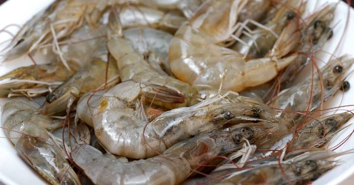 On the Outer Banks, a shrimp ban would rewrite menus