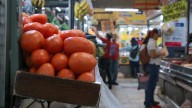 Exportadores de tomate agradecen a Claudia Sheinbaum por respaldo ante riesgo comercial