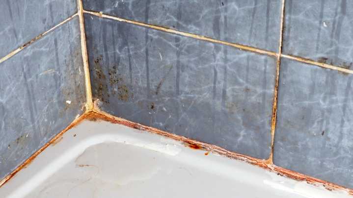 Don't Throw Out Bathroom Tile Without Trying This HGTV Cleaning Hack