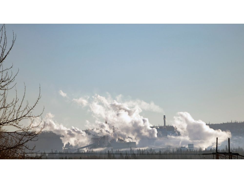 International Paper sells Global Cellulose Fibers operations | Grande Prairie Daily Herald Tribune