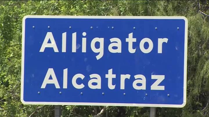 Judge weighs detainees’ legal rights at ‘Alligator Alcatraz’ in Florida Everglades