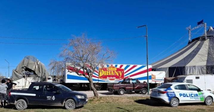 Proteccionistas en alerta por la llegada del circo a Roca: «Tienen derecho a trabajar, pero no con animales»