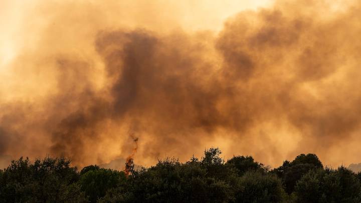 Última hora de los incendios en España, en directo | Extremadura pide ayuda al Gobierno y al ejército ante el avance del fuego en Cáceres